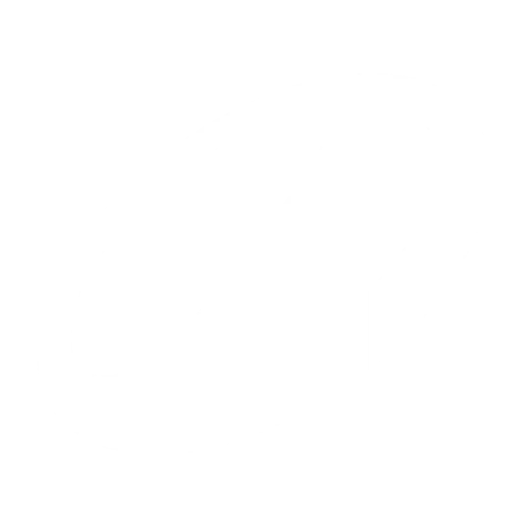 Decathlon logo